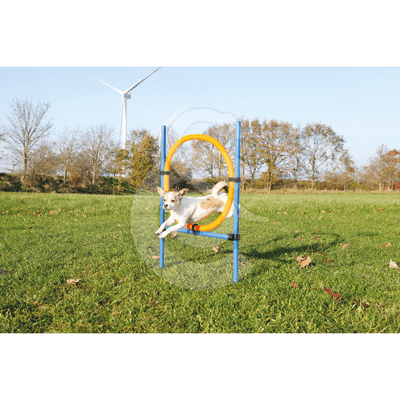 Agility : Anneau Trixie Fun