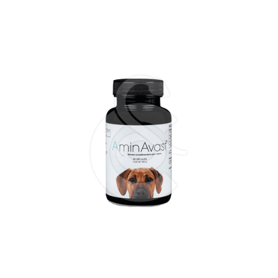 AminAvast Chiens