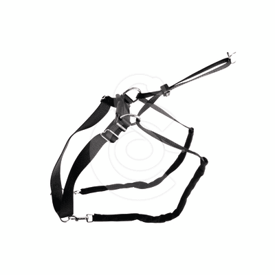 Collier éducation MaxiLeader