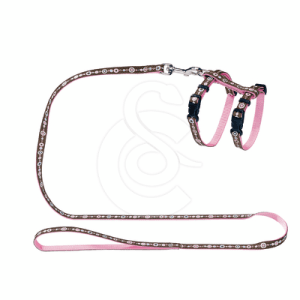 Ensemble harnais/Laisse chat Hunter