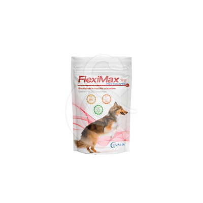 Fleximax Chien