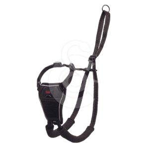 Harnais Halti No Pull