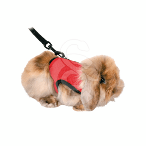 Harnais Confort pour rongeur