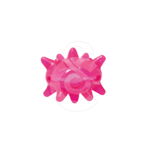 Jouet chien Pop : Crazy Urchin Toy