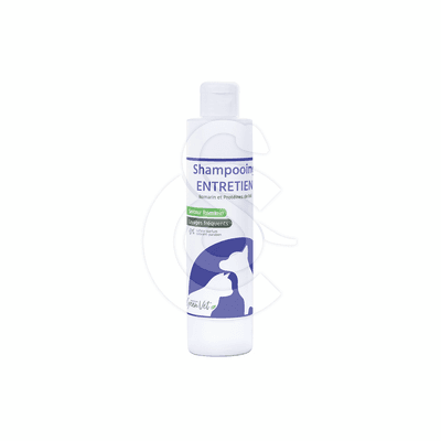 Shampoing Entretien
