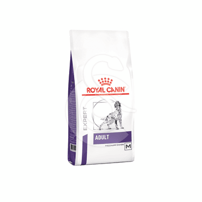 Dog Adult Medium