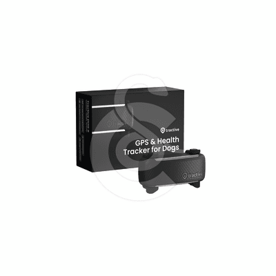 GPS Tractive Dog 6 pour chien