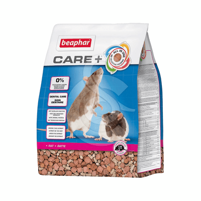 Care + Rat