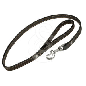 Laisse cuir doublé