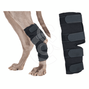 Protection patte arrière pour chien Back On Track