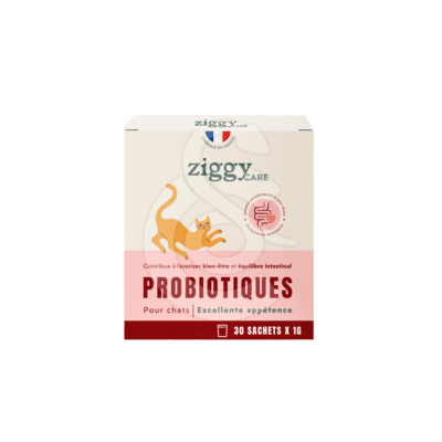 Ziggy probiotiques Chat