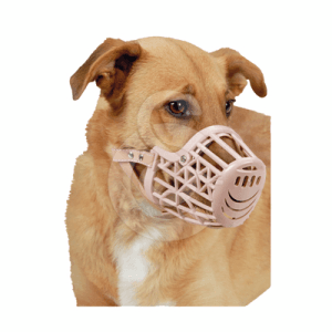 Muselière plastique avec courroie cuir