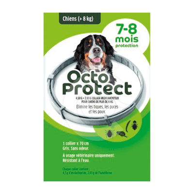 Octoprotect collier Grand Chien