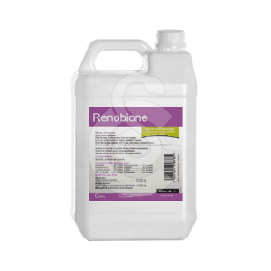 Renobione