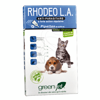 Rhodeo L.A. Chiot et Chaton