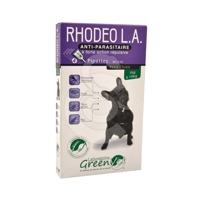 Rhodeo L.A. Pt Chien