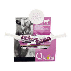 Seledine Vit Pâte Orale