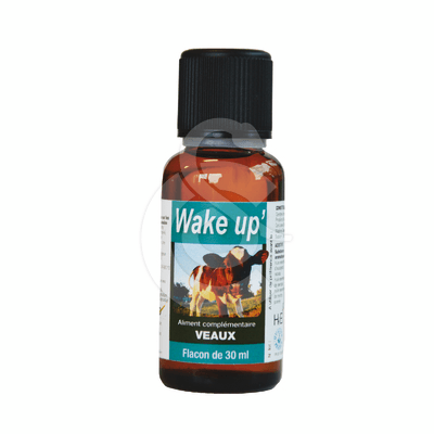 Wake Up