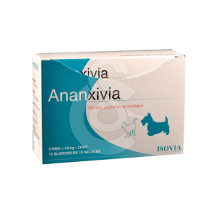 Ananxivia Chat/Petit Chien