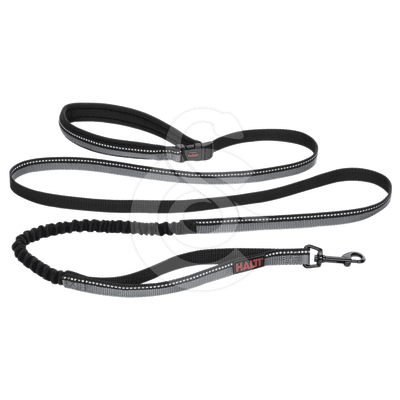 Laisse Halti Active