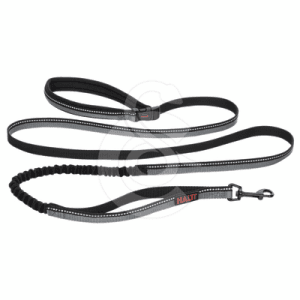 Laisse Halti Active