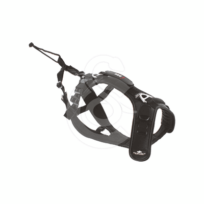 Harnais i-Dog Raidlight