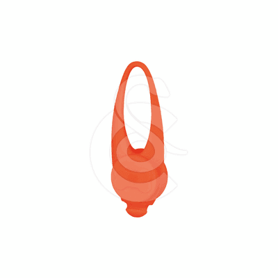 Lampe de sécurité Flasher Trixie