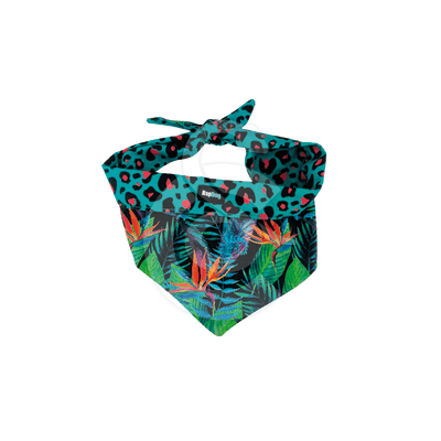 Bandana Hop Dog Strelitzia