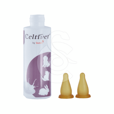 Biberon pour petits animaux