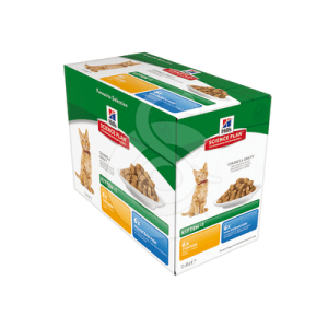 Chat Kitten Pack Mixte Sachet repas