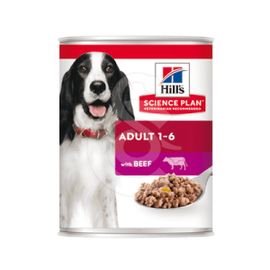 Chien Adult Boeuf Boîte