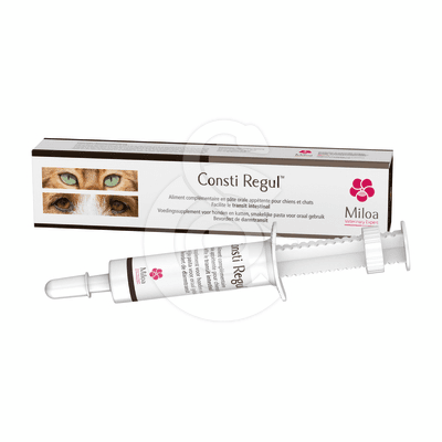 Consti Regul