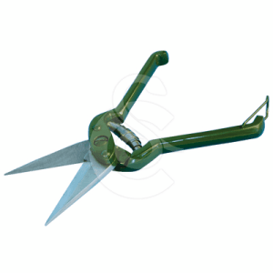 Coupe-onglons pour ovins