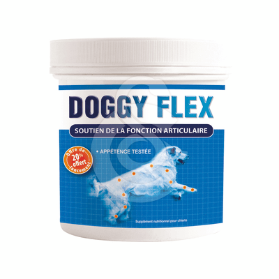Doggy Flex