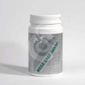 Equistro Mega Base Junior