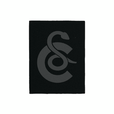 Filtre pour bac à litière Zolux