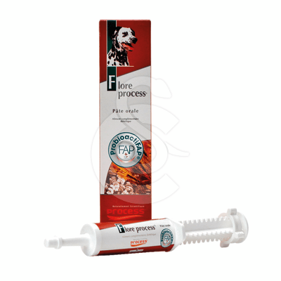 Flore Process Cn/Ct Pate orale