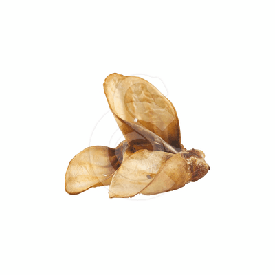 Friandises Oreille de Boeuf