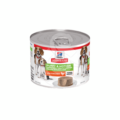 Chien Puppy & Mother Mousse Poulet Boîte