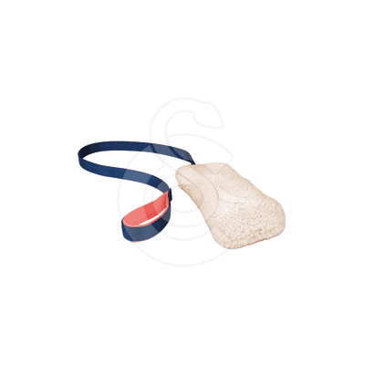 Jouet chien Coachi : Chase & Crinkle