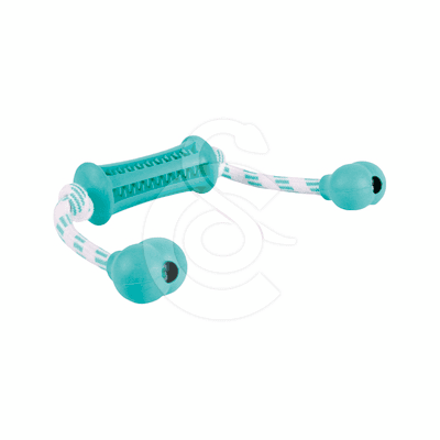 Jouet chien Trixie : Denta Fun Baton avec corde