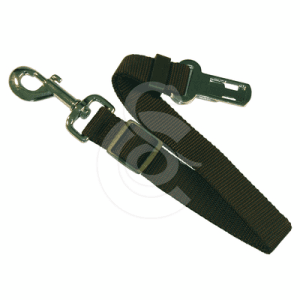 Laisse sécurité transport Zolux