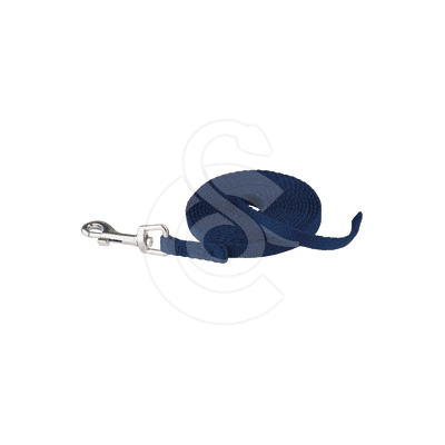 Longe de rappel Coachi pour chiot