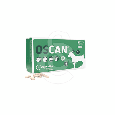 Oscan