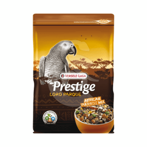 Prestige Loro African Perroquets
