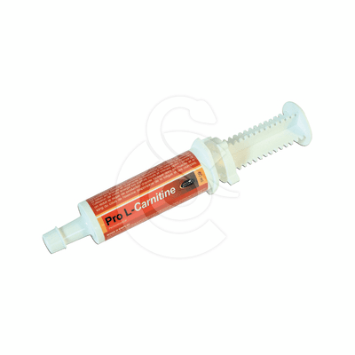 Pro L Carnitine