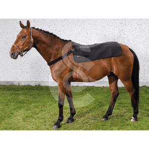 Protège dos Back Warmer Back On Track