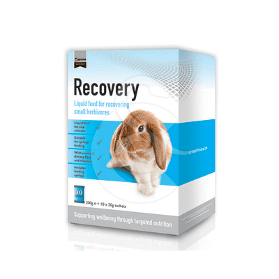 Recovery (Petit Herbivore)