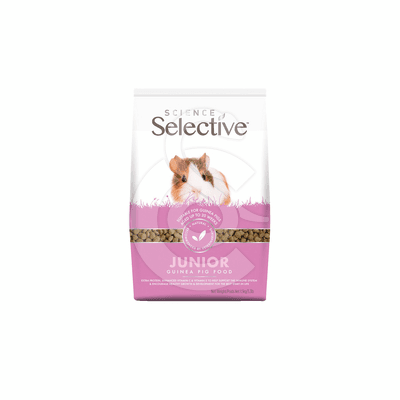 Selective junior Guinea Pig (Cochon d'Inde)