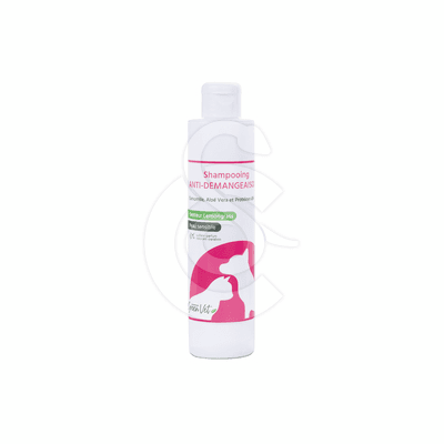 Shampoing Anti-Démangeaison
